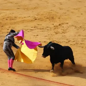 Explore 13 Day Spain & Portugal Tour including Gibraltar for 13 days with Bucket List Group Travel LLC and discover unforgettable experiences - Photo 10