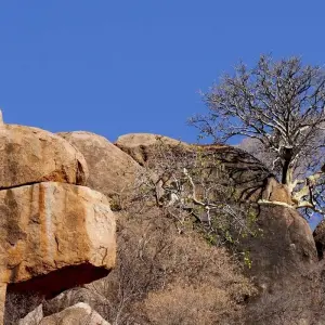 Explore Zambia Nambia Botswana Zimbabwe – 8 Days 4 Countries Adventure and Safari for 8 days with Bucket List Group Travel LLC and discover unforgettable experiences - Photo 3