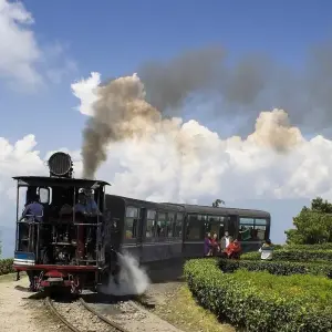 Explore INDIA – 11 Days Highlights of North East India for 11 days with Bucket List Group Travel LLC and discover unforgettable experiences - Photo 10