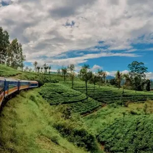 Explore Sri Lanka – Maldives Highlights 12 Days for 12 days with Bucket List Group Travel LLC and discover unforgettable experiences - Photo 3