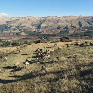 Explore PERU – 6 Days Sacred Valley Machu Picchu Rainbow Mt Skylodge Adventure for 6 days with Bucket List Group Travel LLC and discover unforgettable experiences - Photo 3