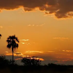 Explore Zimbabwe and Botswana – 8 Days Victoria Falls Chobe Delta for 8 days with Bucket List Group Travel LLC and discover unforgettable experiences - Photo 8