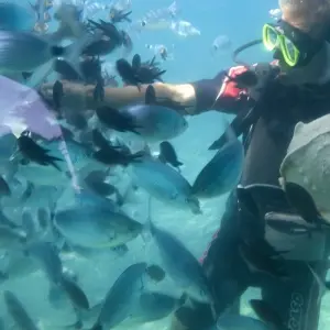 Explore USA – Hawaii – Honolulu Oahu Island Adventure for 6 days with Bucket List Group Travel LLC and discover unforgettable experiences - Photo 5