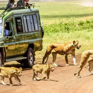 Explore TANZANIA – Serengeti Ngorongoro Safari with Zanzibar for 9 days with Bucket List Group Travel LLC and discover unforgettable experiences - Photo 3