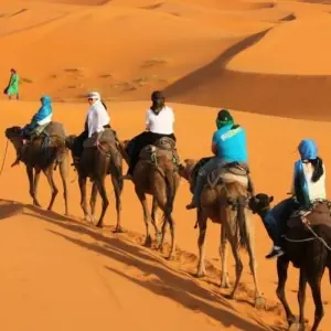 Explore MOROCCO – Casablanca to Chefchaouen for 9 days with Bucket List Group Travel LLC and discover unforgettable experiences - Photo 5