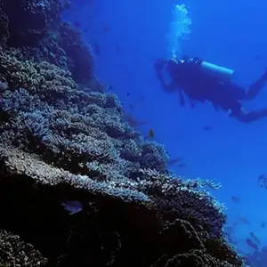 Explore EGYPT Group Travel Pyramids Nile Cruise for 9 days with Bucket List Group Travel LLC and discover unforgettable experiences - Photo 3