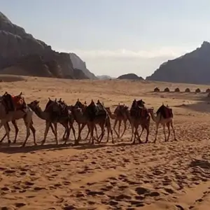 Explore JORDAN – Small Group Travel Petra Dead Sea Wadi Rum for 6 days with Bucket List Group Travel LLC and discover unforgettable experiences - Photo 5