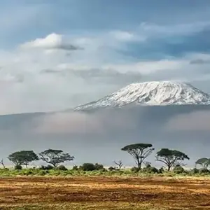 Explore TANZANIA – Kilimanjaro with Safari & Zanzibar for 16 days with Bucket List Group Travel LLC and discover unforgettable experiences - Photo 5