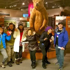 Explore USA – Alaska Fall Colors with Northern Lights for 5 days with Bucket List Group Travel LLC and discover unforgettable experiences - Photo 4