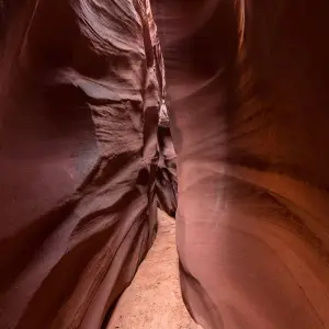 Explore USA – 5 Days Chasing Slot Canyons in Utah for 5 days with Bucket List Group Travel LLC and discover unforgettable experiences - Photo 6