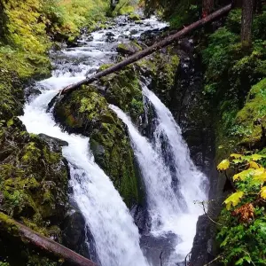 Explore USA – Best of WA – North Cascades Olympic Mount Rainier National Parks for 8 days with Bucket List Group Travel LLC and discover unforgettable experiences - Photo 4