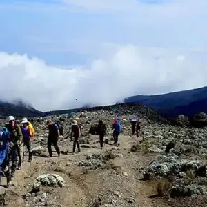 Explore TANZANIA – Kilimanjaro 7 Day Machame Route Trekking for 8 days with Bucket List Group Travel LLC and discover unforgettable experiences - Photo 5