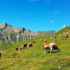 Explore TOUR DU MONT BLANC – Switzerland France Italy for 9 days with Bucket List Group Travel LLC and discover unforgettable experiences - Photo 8