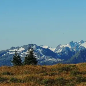 Explore USA – Best of WA – North Cascades Olympic Mount Rainier National Parks for 8 days with Bucket List Group Travel LLC and discover unforgettable experiences - Photo 5