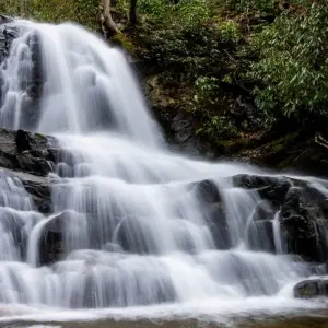 Explore USA – 5 Days Blue Ridge Parkway to Great Smoky Mountains for 5 days with Bucket List Group Travel LLC and discover unforgettable experiences - Photo 7