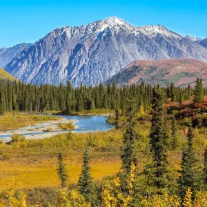 Explore USA – Alaska Summer Fairbanks to Seward for 7 days with Bucket List Group Travel LLC and discover unforgettable experiences - Photo 4