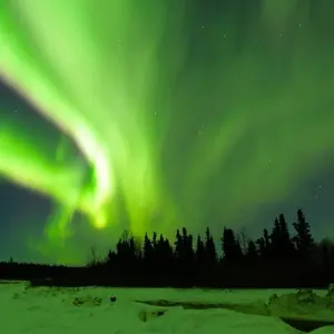 Explore USA – Alaska Northern Lights Winter Wonderland for 5 days with Bucket List Group Travel LLC and discover unforgettable experiences - Photo 11