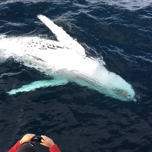 Explore USA – Best of WA – North Cascades Olympic Mount Rainier National Parks for 8 days with Bucket List Group Travel LLC and discover unforgettable experiences - Photo 8