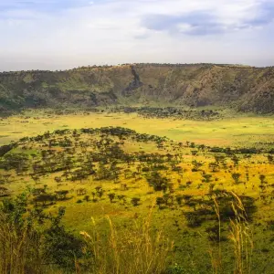 Explore UGANDA – 9 Days Murchison Falls, Big 5, Chimps & Gorillas Trekking for 9 days with Bucket List Group Travel LLC and discover unforgettable experiences - Photo 6