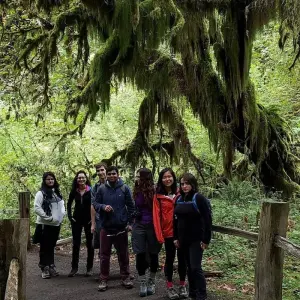 Explore USA – Best of WA – North Cascades Olympic Mount Rainier National Parks for 8 days with Bucket List Group Travel LLC and discover unforgettable experiences - Photo 9