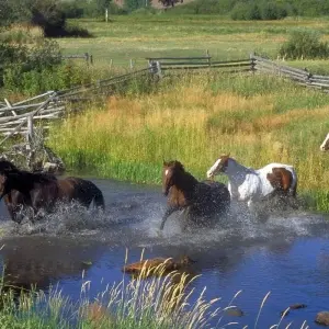 Explore USA – 6 Days Yellowstone Grand Tetons Adventure for 6 days with Bucket List Group Travel LLC and discover unforgettable experiences - Photo 3