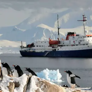 Explore Antarctica – Peninsula and South Shetlands for 11 days with Bucket List Group Travel LLC and discover unforgettable experiences - Photo 7