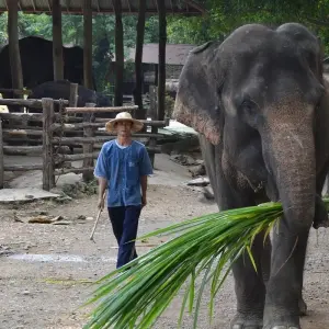 Explore THAILAND – Bangkok Chiang Rai Phuket for 10 days with Bucket List Group Travel LLC and discover unforgettable experiences - Photo 7