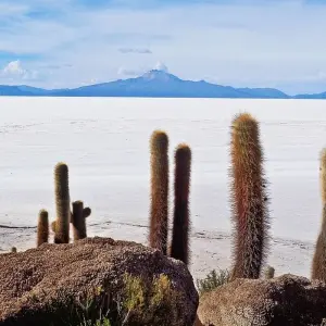 Explore Bolivia Adventure – 6 Days La Paz Uyuni Salt Flat Pulacayo Tomave for 6 days with Bucket List Group Travel LLC and discover unforgettable experiences - Photo 8