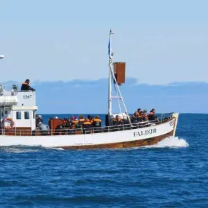 Explore Discover Iceland for 12 days with Bunnik Tours and discover unforgettable experiences - Photo 3