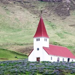 Explore Discover Iceland for 12 days with Bunnik Tours and discover unforgettable experiences - Photo 4