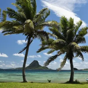 Explore AUSTRALIA – Fiji Highlights with Brisbane Cairns Melbourne Sydney for 16 days with Bucket List Group Travel LLC and discover unforgettable experiences - Photo 8