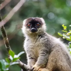 Explore Discover Madagascar for 13 days with Bunnik Tours and discover unforgettable experiences - Photo 8