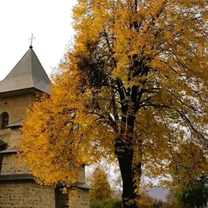 Explore UNESCO Wonders Await: Embark on a 3-Day Adventure to the Enchanting Painted Monasteries of Bucovina! for 3 days with Business Trans Protocol and discover unforgettable experiences - Photo 4