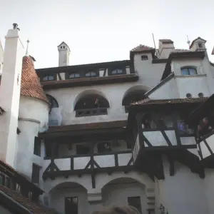 Explore Medieval Adventure in Transylvania: Castles, Fortresses, and Encountering Bears on Top Gear Road for 4 days with Business Trans Protocol and discover unforgettable experiences - Photo 3