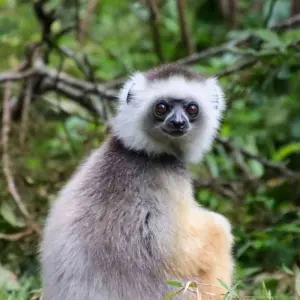 Explore Discover Madagascar for 13 days with Bunnik Tours and discover unforgettable experiences - Photo 11