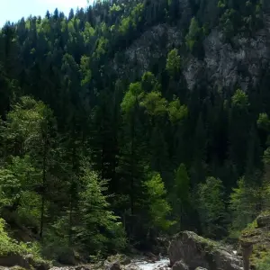 Explore UNESCO Wonders Await: Embark on a 3-Day Adventure to the Enchanting Painted Monasteries of Bucovina! for 3 days with Business Trans Protocol and discover unforgettable experiences - Photo 5