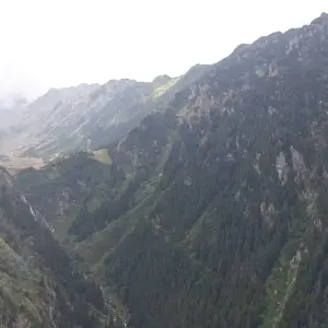 Explore Thrilling Transylvania Adventure: Discover Dracula's Castles & Fortresses, Encounter Wild Brown Bears on the Top Gear Transfagarasan Road for 3 days with Business Trans Protocol and discover unforgettable experiences - Photo 6