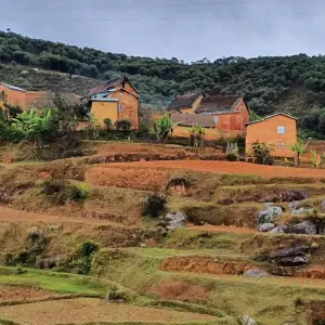 Explore Discover Madagascar 2026 for 13 days with Bunnik Tours and discover unforgettable experiences - Photo 8