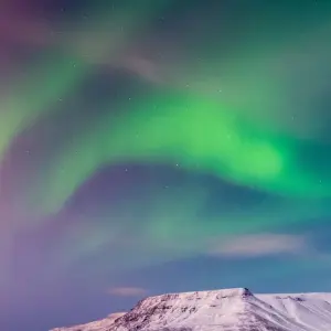 Explore 4 Days in Reykjavík Winter Package for 4 days with BusTravel Iceland and discover unforgettable experiences - Photo 3
