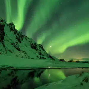 Explore 4 Days in Reykjavík Winter Package for 4 days with BusTravel Iceland and discover unforgettable experiences - Photo 4
