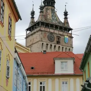 Explore Medieval Adventure in Transylvania: Castles, Fortresses, and Encountering Bears on Top Gear Road for 4 days with Business Trans Protocol and discover unforgettable experiences - Photo 7