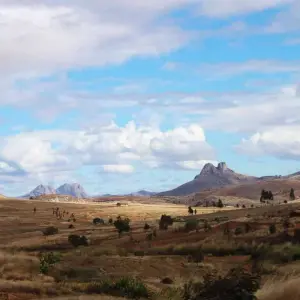 Explore Discover Madagascar 2026 for 13 days with Bunnik Tours and discover unforgettable experiences - Photo 10