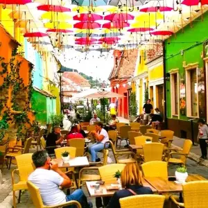 Explore Thrilling Transylvania Adventure: Discover Dracula's Castles & Fortresses, Encounter Wild Brown Bears on the Top Gear Transfagarasan Road for 3 days with Business Trans Protocol and discover unforgettable experiences - Photo 10