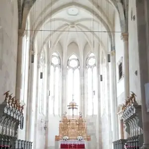 Explore Medieval Adventure in Transylvania: Castles, Fortresses, and Encountering Bears on Top Gear Road for 4 days with Business Trans Protocol and discover unforgettable experiences - Photo 8