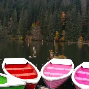 Explore UNESCO Wonders Await: Embark on a 3-Day Adventure to the Enchanting Painted Monasteries of Bucovina! for 3 days with Business Trans Protocol and discover unforgettable experiences - Photo 9