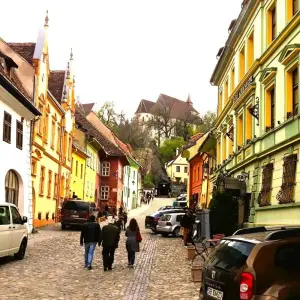 Explore Discover Medieval and Wild Transylvania, Meet the Brown Bears, and Count Dracula for 3 days with Business Trans Protocol and discover unforgettable experiences - Photo 9