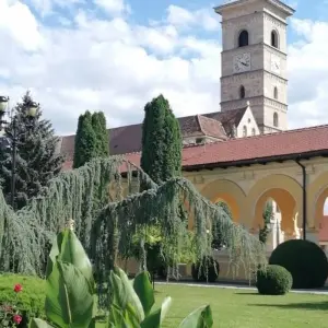 Explore Medieval Adventure in Transylvania: Castles, Fortresses, and Encountering Bears on Top Gear Road for 4 days with Business Trans Protocol and discover unforgettable experiences - Photo 10