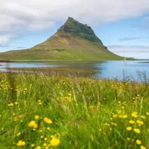 Explore 5-Day Iceland Complete Package feat. Golden Circle, South Coast, Snæfellsnes & Reykjanes Volcanic Peninsula for 5 days with BusTravel Iceland and discover unforgettable experiences - Photo 9