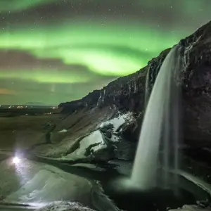 Explore 4 Days in Reykjavík Winter Package for 4 days with BusTravel Iceland and discover unforgettable experiences - Photo 11