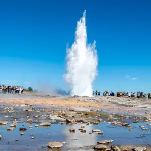 Explore 6 Day - Iceland Ring Road Small-Group Tour for 6 days with BusTravel Iceland and discover unforgettable experiences - Photo 9